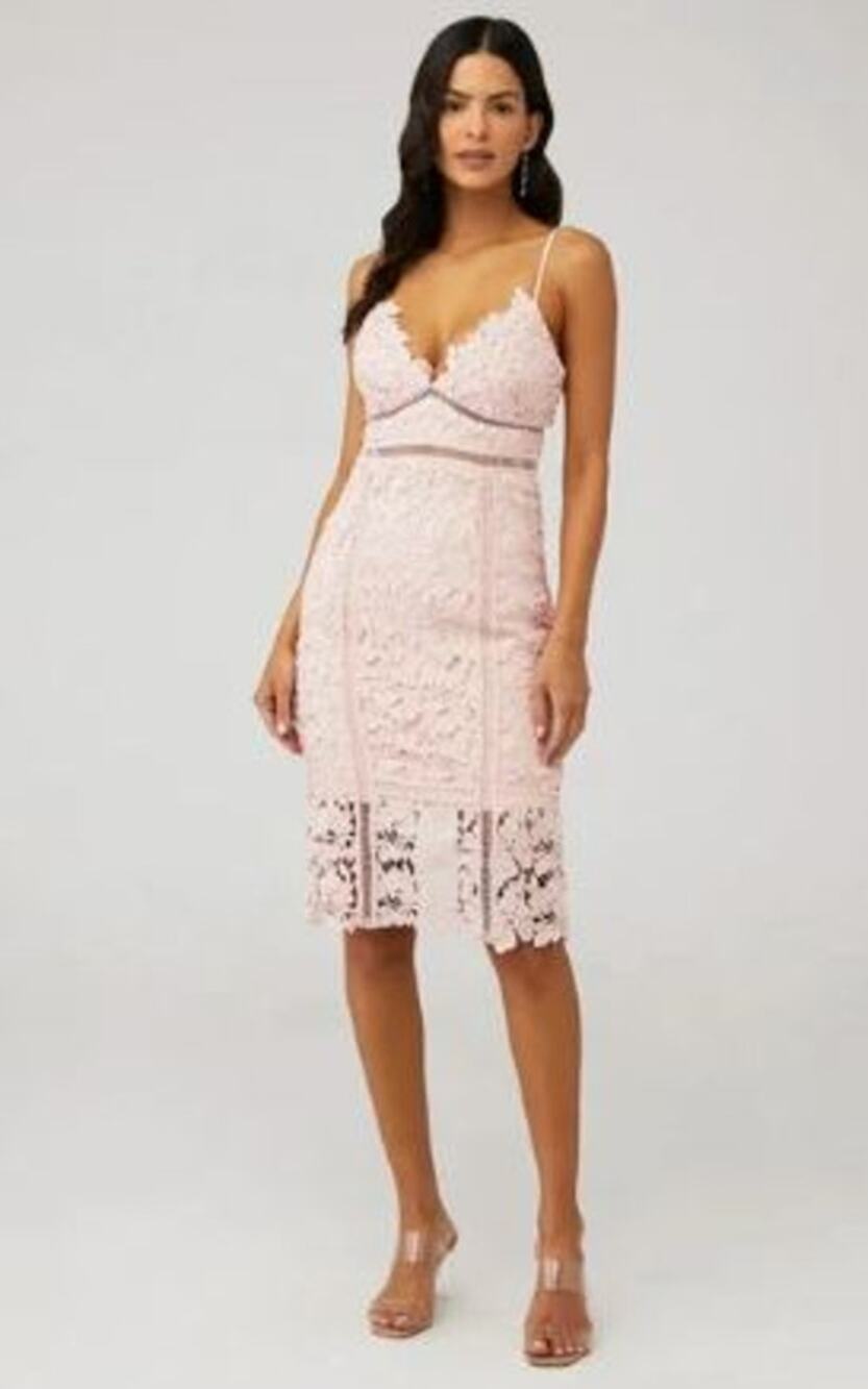 Bardot Botanica Lace Dress Womens Size 6 Pink Sleeveless Sheath Dress Wedding